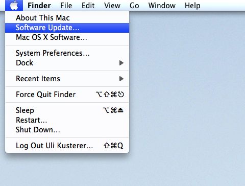 [A menu in Mac OS X]